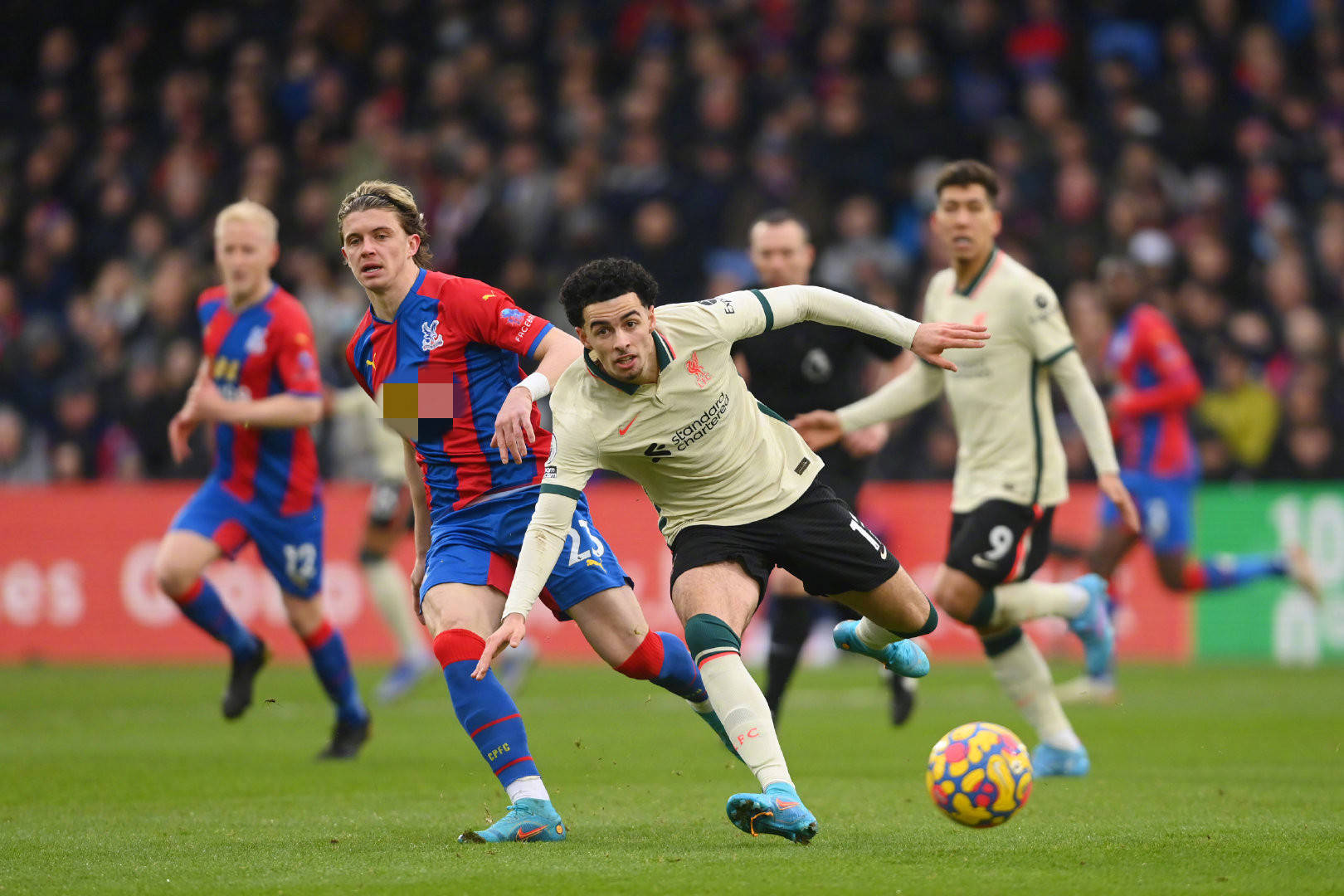 因改变计划 因改变计划